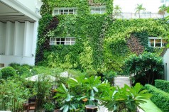 Vertical Garden